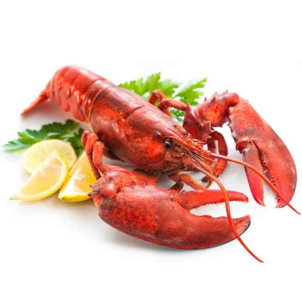 Pulpo freco 1 kg - Imagen 4